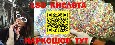 PSILOCYBIN Ирбит