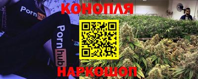 PSILOCYBIN Ирбит
