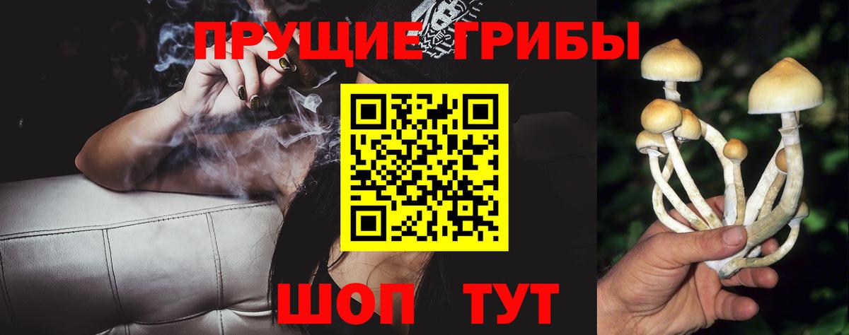 Лосино-Петровский  Псилоцибиновые грибы Cubensis  Вход с VPN  Псилоцибиновые грибы прущие грибы 